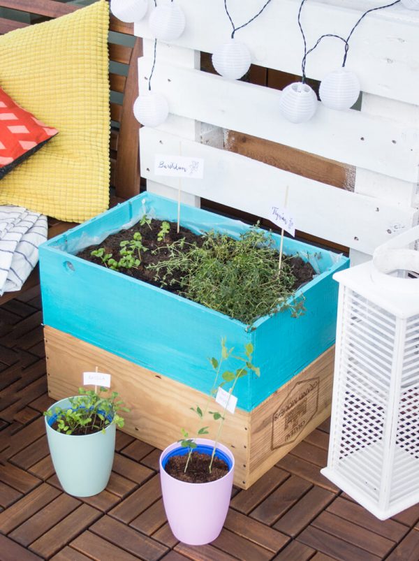 DIY Kräuterbeet aus einer alten Holzkiste - TinkerMess