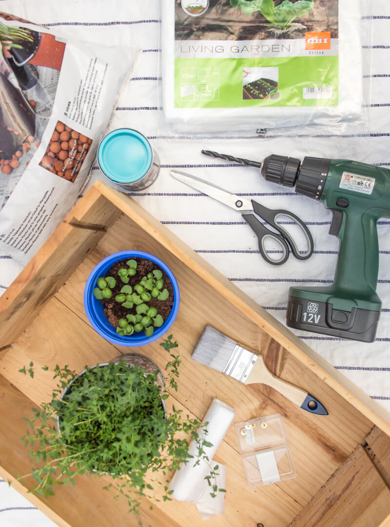 DIY Kräuterbeet aus einer alten Holzkiste - TinkerMess